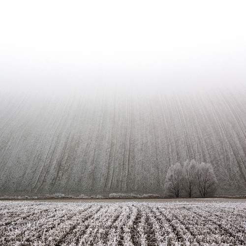 Photo #7182825