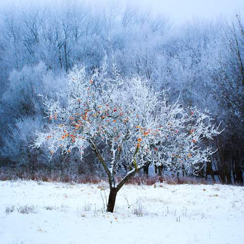 Photo #7182836