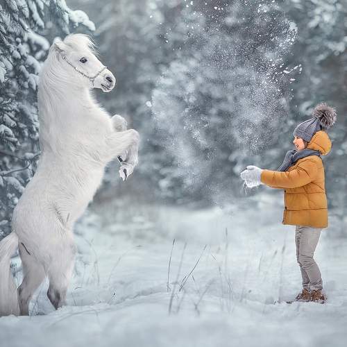 Photo #7182937