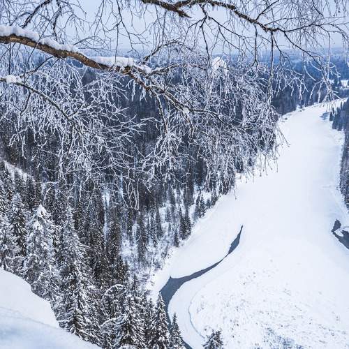 Photo #7183001