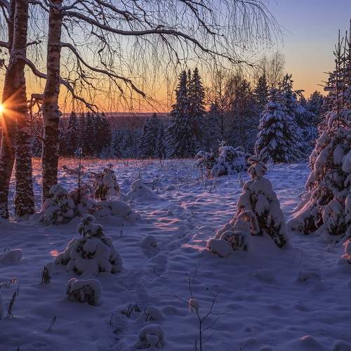 Photo #7183008