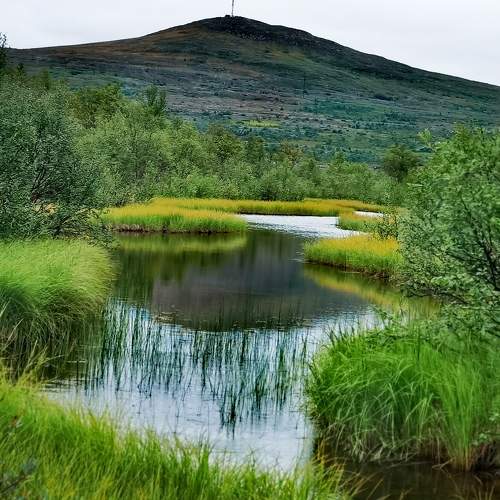 Photo #7183072