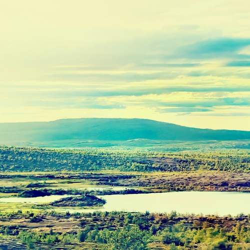 Photo #7183078