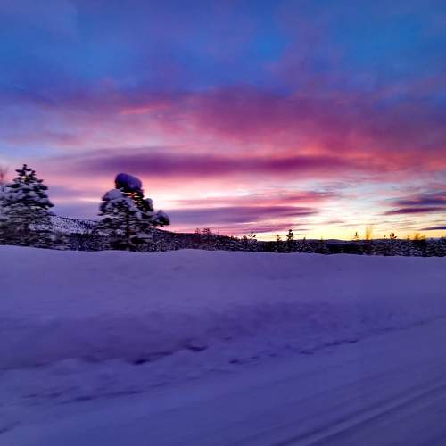 Photo #7183092
