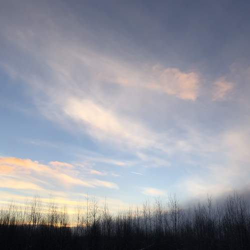 Photo #7183434