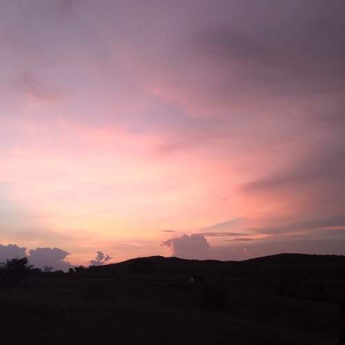 The Horizon