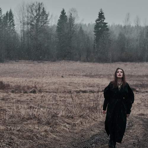 Photo #7183645