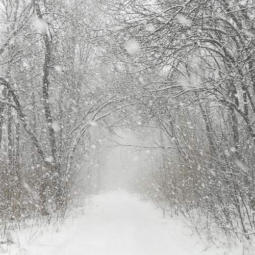 Метель