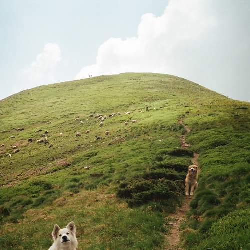 Photo #7184163
