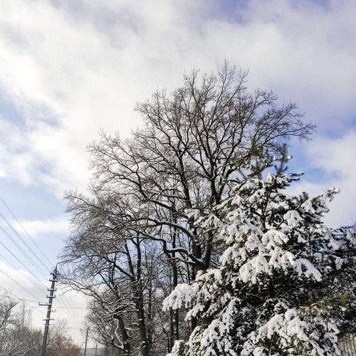Photo #7184471