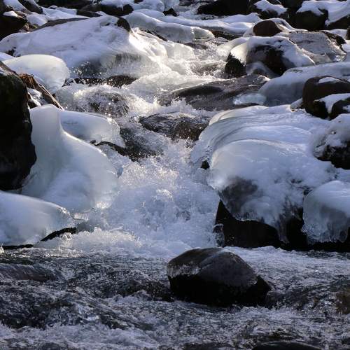 Photo #7184490