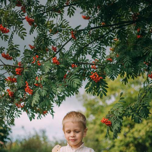 Photo #7184507