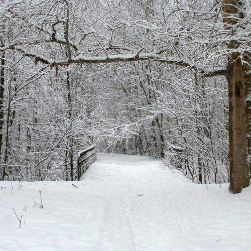 Photo #7184666