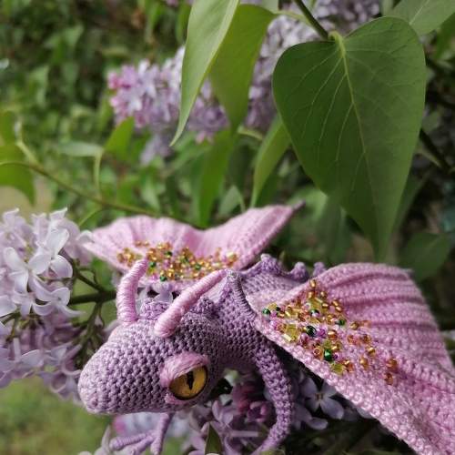 Photo #7184921