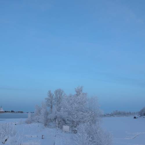 Photo #7185215