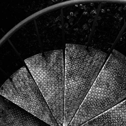 Photo #7185460