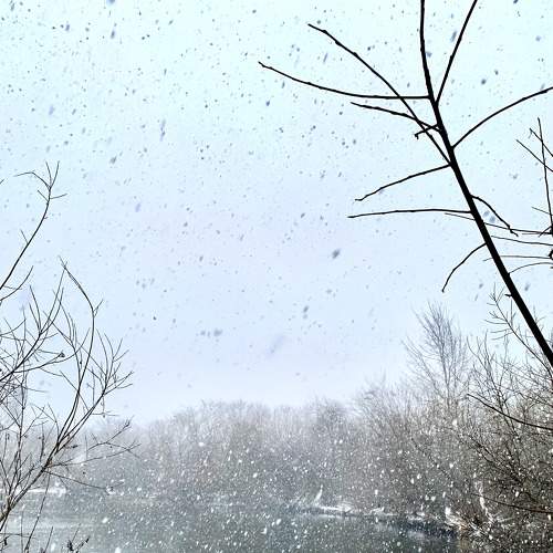 Photo #7185465