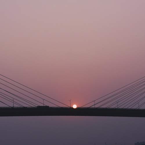Photo #7185724