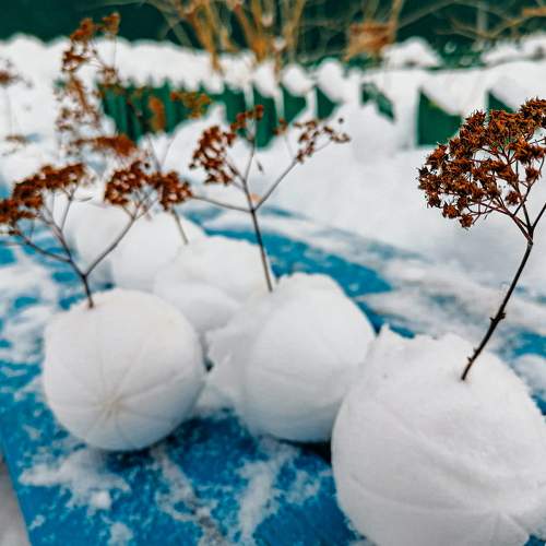 Photo #7185785