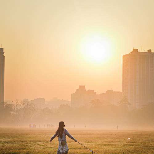 Photo #7185792