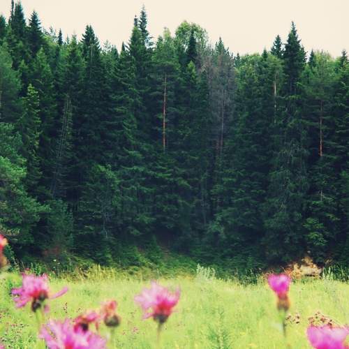 Photo #7186726
