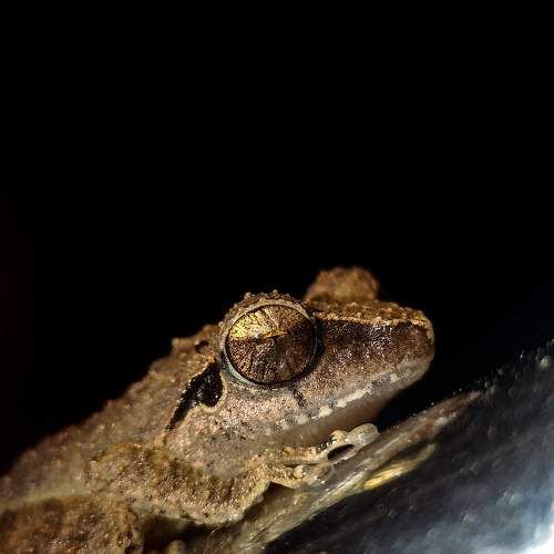 Photo #7186831
