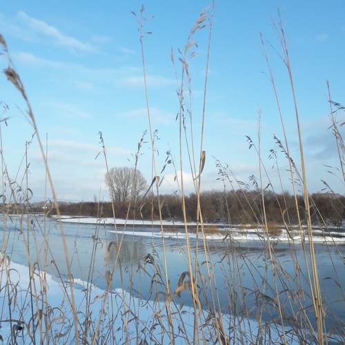 Photo #7186893