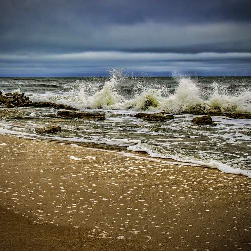 Photo #7186934