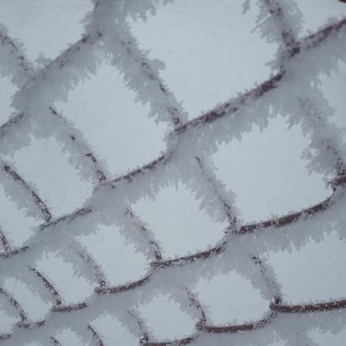 Photo #7187009