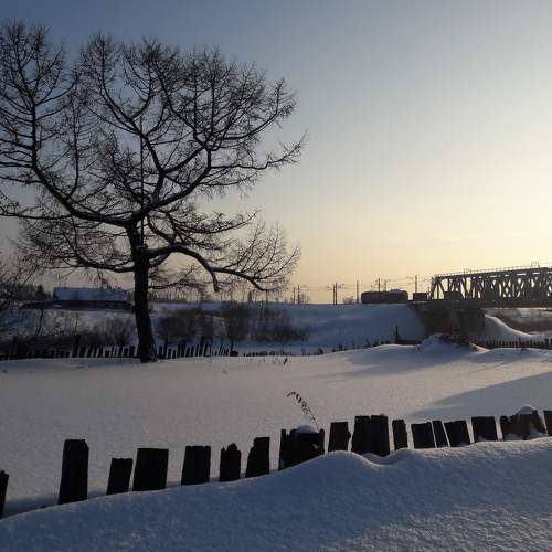 Photo #7187129