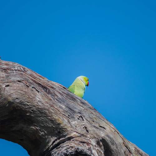 Photo #7187158
