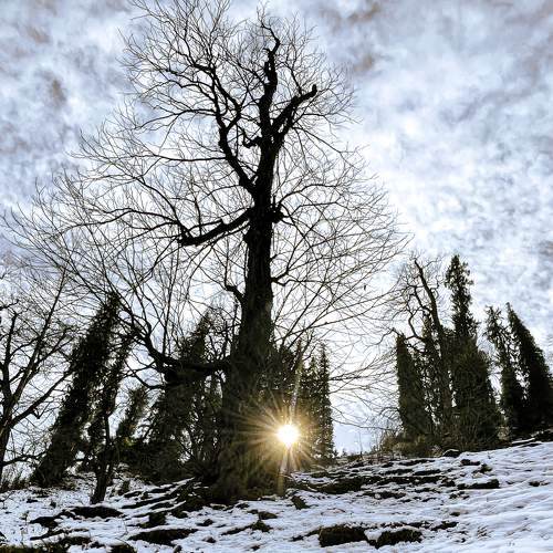 Snowflare