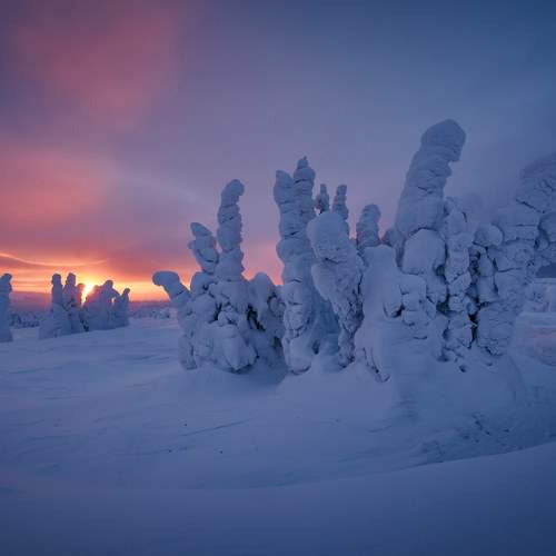 Photo #7187427
