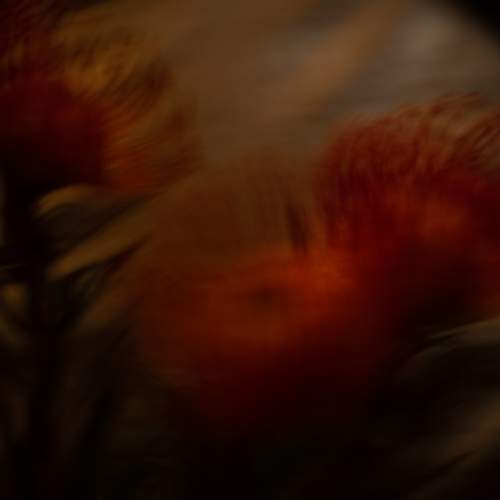 Photo #7187786