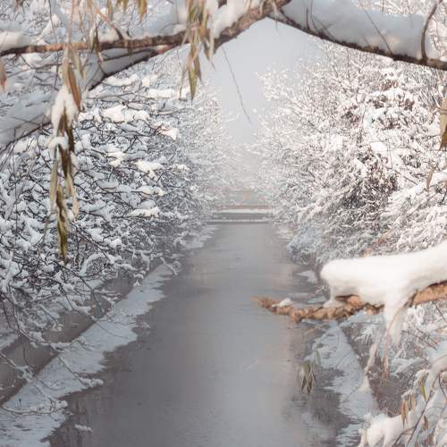 Photo #7187987