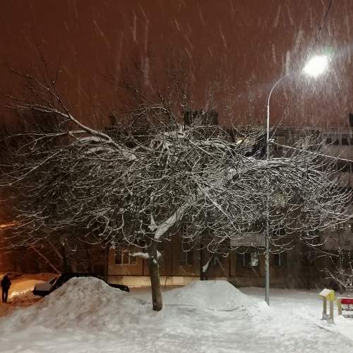 Photo #7188333
