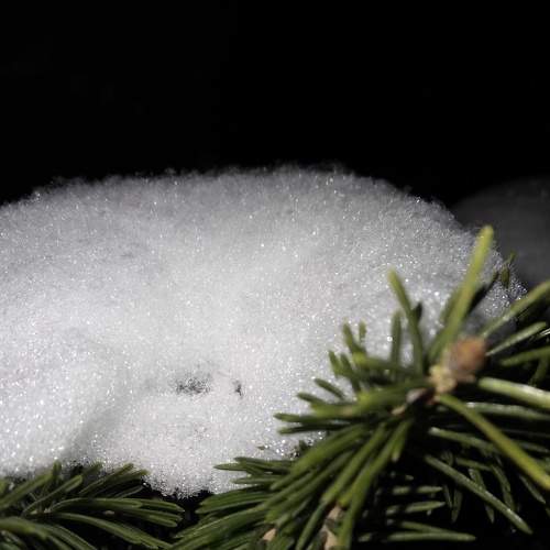 Photo #7188596