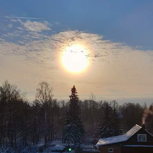 Photo #7188786
