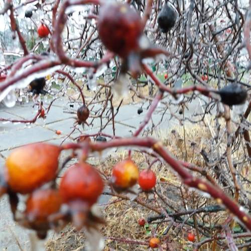 Photo #7189250