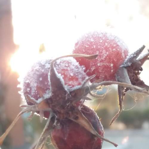 Photo #7189253