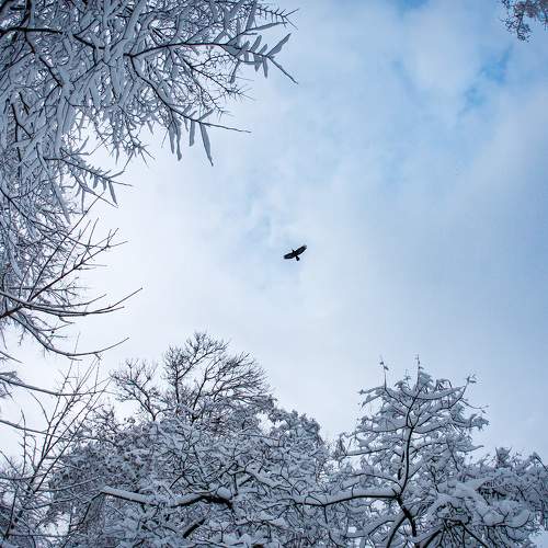 Photo #7189675