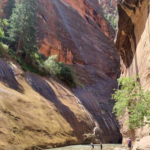 Photo #7190237