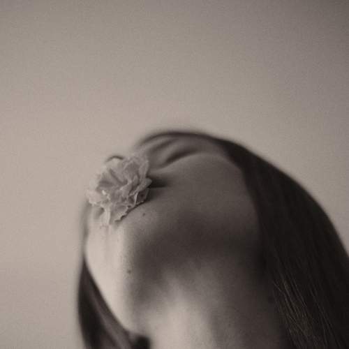 Photo #7190290