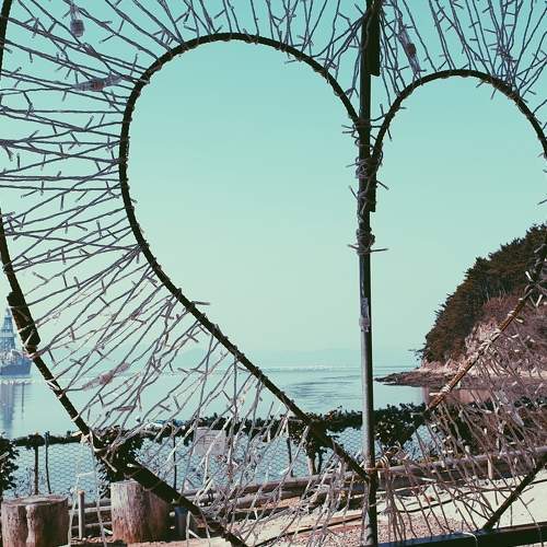 Photo #7190480