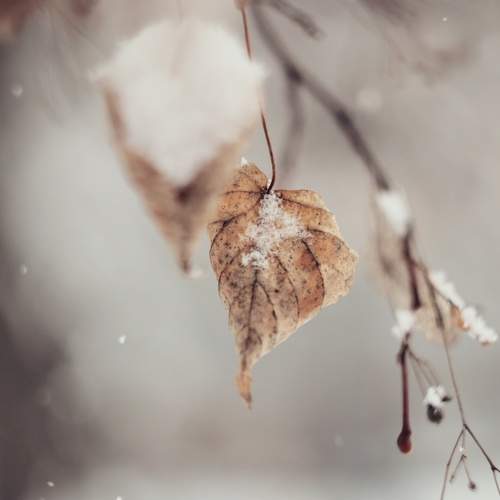 Photo #7190607