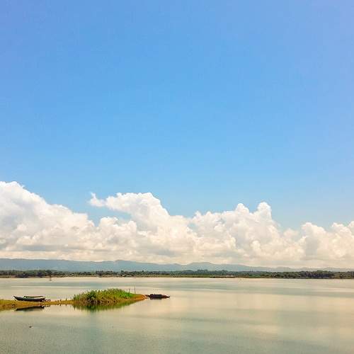 Photo #7190618
