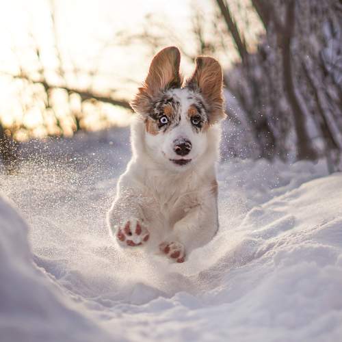 Photo #7190637