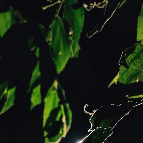 Photo #7190641