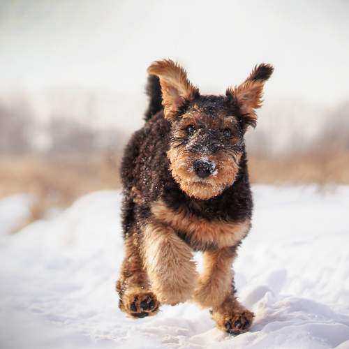 Photo #7190847