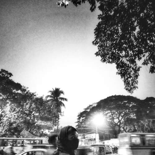 Photo #7190855